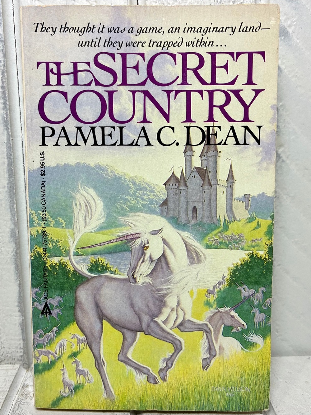 The Secret Country By Pamela C. Dean Paperback Chapter Book Vintage 1985